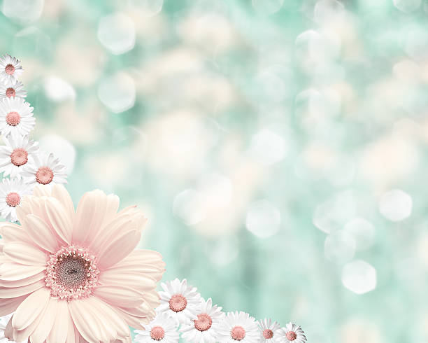 istock Floral border blurred background, flowers chamomile 471276618