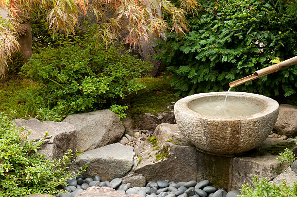 fontaine à eau - nature japanese garden formal garden ornamental garden photos et images de collection