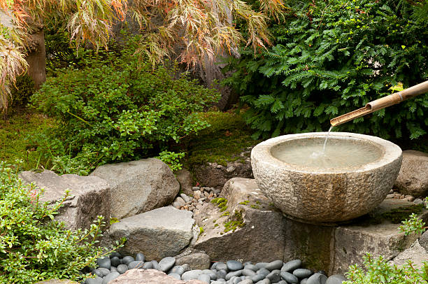 저수시설 파운턴 - nature japanese garden formal garden ornamental garden 뉴스 사진 이미지