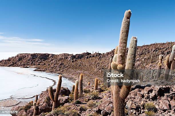 Fish Island On Salar De Uyuni Stock Photo - Download Image Now - Adventure, Aloe, Altiplano