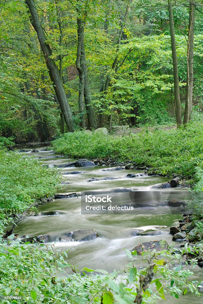 Herbst-stream - Lizenzfrei Bach Stock-Foto