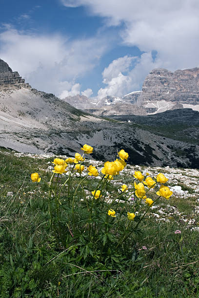 istock Panoramic view close to "Tre Cime di Lavaredo" 471280537