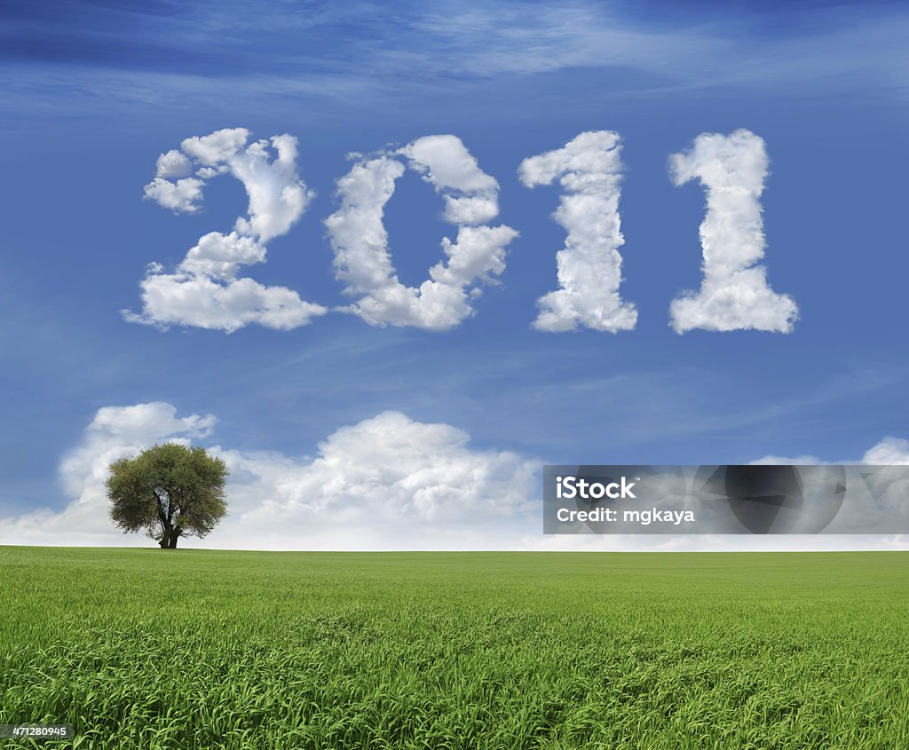 New Year 2011 And Field Lonely tree and green field landscape with clouds in the shape of "2011". 2011 Stock Photo