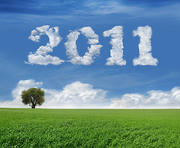 New Year 2011 And Field Lonely tree and green field landscape with clouds in the shape of "2011". words in the sky stock pictures, royalty-free photos & images