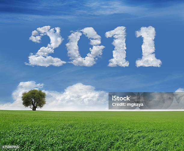 New Year 2011 And Field Stock Photo - Download Image Now - 2011, Agricultural Field, Blue
