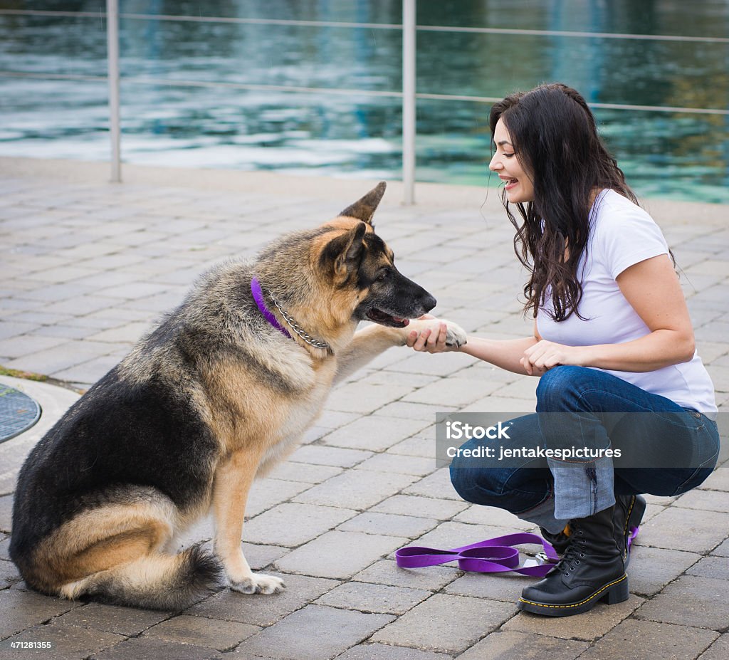 Woman with her Dog Woman shaking her German Shepherd Dog's paw. German Shepherd Stock Photo