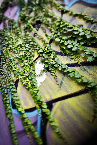 istock Nature Clashing with Urban 471281577