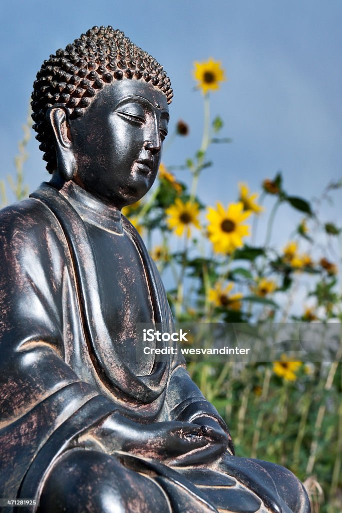 Japanese Buddha and Daisies A low angle view of a Japanese Buddha statue, sitting in a field of wild flowers.  Hands are in dhyana mudra (meditation gesture), eyes closed and face serene, this statue depicts the classic posture of contemplative practice. Blue Stock Photo