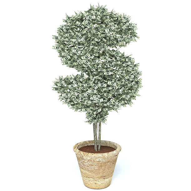 istock money tree made of hundred dollar bills 471282500