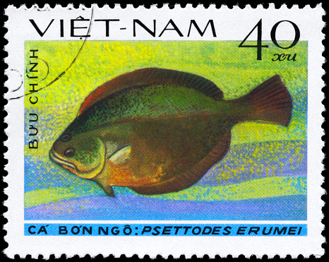 A Stamp printed in VIETNAM shows image of a Flatfish with the inscription \