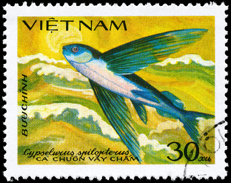 dragonfly on a postage stamp