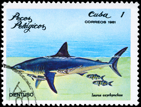 A Stamp printed in CUBA shows image of a Shark with the inscription \