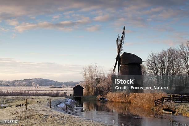 Inverno Na Holanda - Fotografias de stock e mais imagens de Ajardinado - Ajardinado, Antigo, Antiguidade