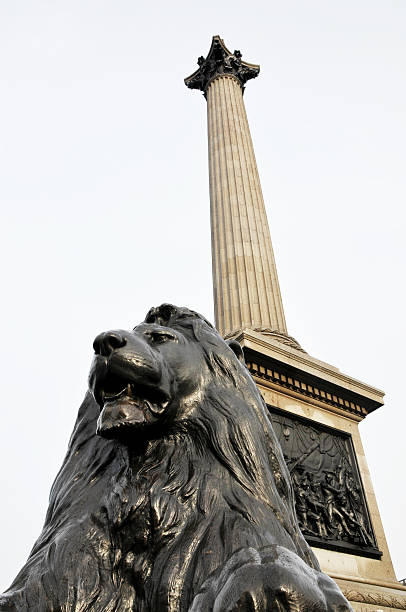 leone di bronzo e la colonna di nelson, a londra. - lion statue london england trafalgar square foto e immagini stock