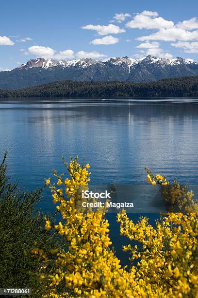 Photo libre de droit de Lac Nahuel Huapi Dans La Villa Dangostura banque d'images et plus d'images libres de droit de Bariloche - Bariloche, Argentine, Arbre en fleurs