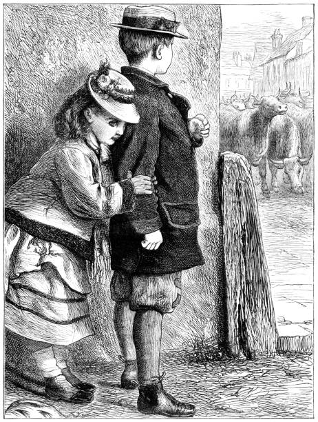 kleine viktorianischen junge schützen mädchen aus einer herde von rind - corner child hiding looking stock-grafiken, -clipart, -cartoons und -symbole