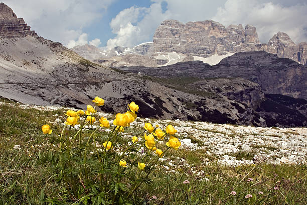 istock Panoramic view close to 