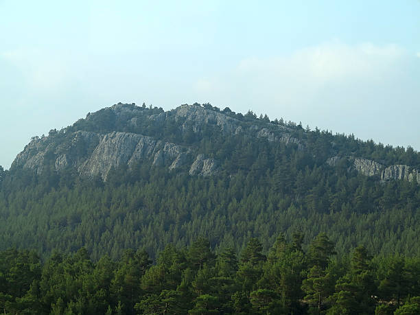 istock Fog covering the mountain forests 471289516