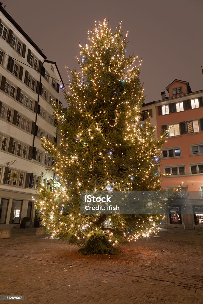 Рождество-дерево, Weinplatz Цюрих, еще не после Нового года партия 2011 г. - Стоковые фото Pinaceae роялти-фри