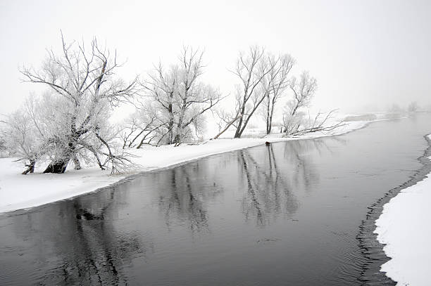 冬の風景、ハヴェル川（ドイツ） - untere havel ストックフォトと画像