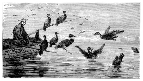 A Chinese man fishing with a trained flock of cormorants. Illustration from 