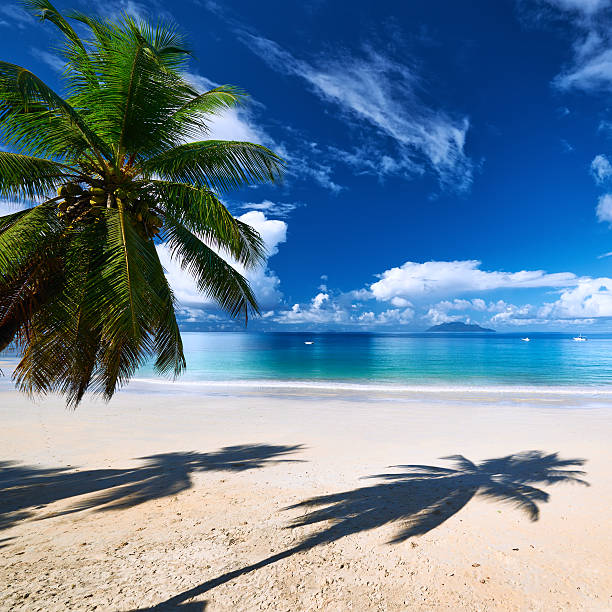 istock Beautiful beach at Seychelles 471295326