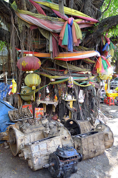 istock holy tree Bangkok Thailand 471296622