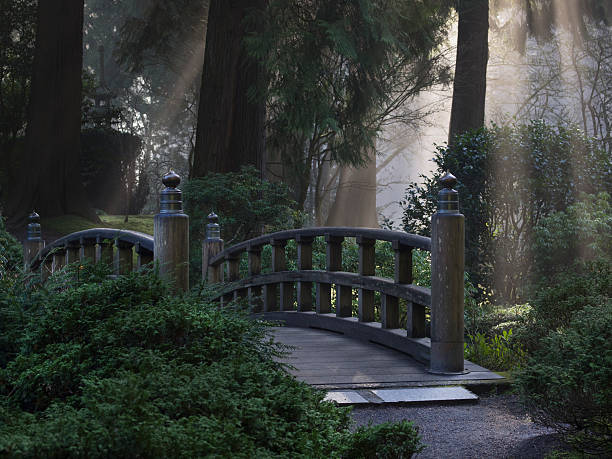 풋브릿지, 안개, 일요일 일식 정원 포틀랜드 오리건 - bridge wood japanese garden footbridge 뉴스 사진 이미지