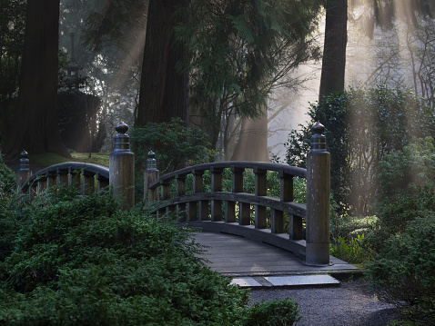 Looking across a wooden footbridge at the Portland Japanese Garden. Large trees are in the background with fog and streaks of sunlight. This is located in the Pacific Northwest in in Portland, Oregon. I am a Photographer level member of the Portland Japanese Garden as required for commercial use.