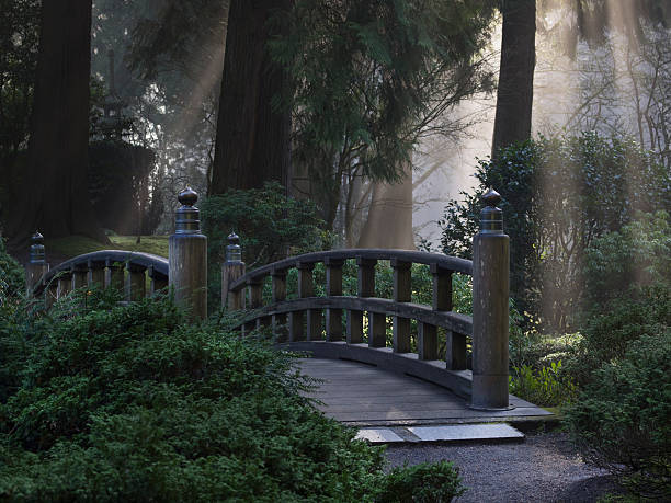 Footbridge with Fog and Sun at Japanese Garden Portland Oregon Looking across a wooden footbridge at the Portland Japanese Garden. Large trees are in the background with fog and streaks of sunlight. This is located in the Pacific Northwest in in Portland, Oregon. I am a Photographer level member of the Portland Japanese Garden as required for commercial use. portland japanese garden stock pictures, royalty-free photos & images