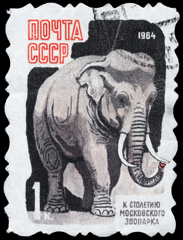A Stamp printed in USSR shows image of a Elephant from the series \