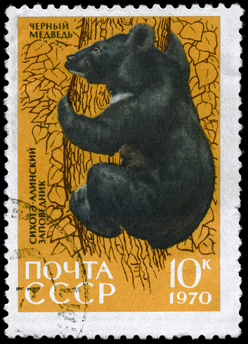 A Stamp printed in USSR shows image of a Asiatic Black Bear from the series \