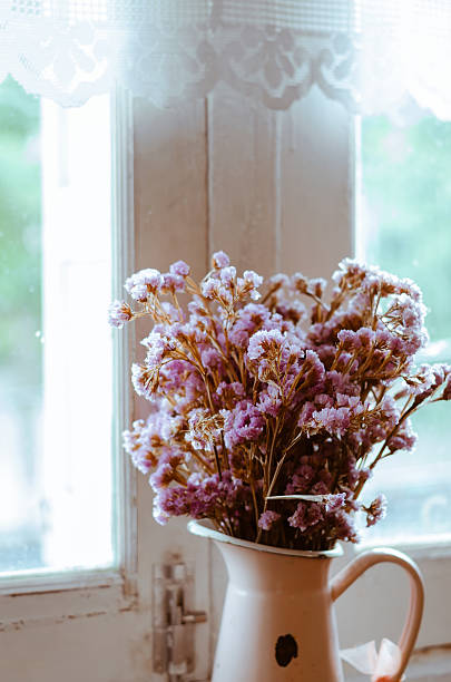 istock Dried Violet Flower In Jug Beside Window. 471296818