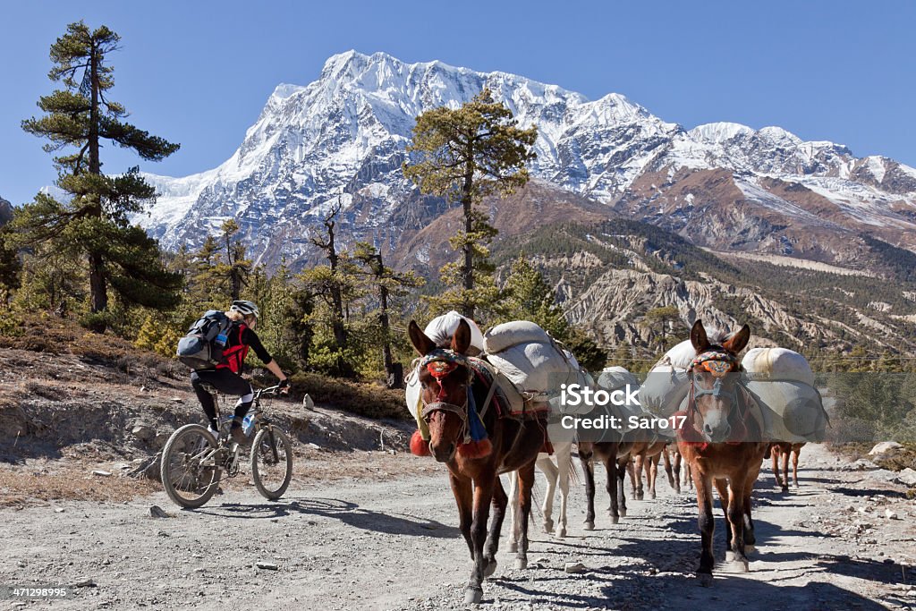 Trasporto di Annapurna - Foto stock royalty-free di Acqua ghiacciata