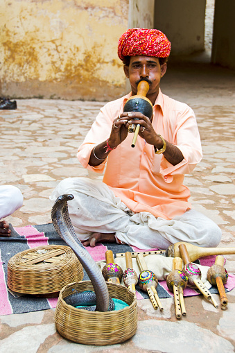 Jaipur, Rajasthan, India - November 14, 2010: Indian snake charmer and cobra preforming in courtyard at Amber Fort. The Indian cobra is kept in a covered basket and has had its fangs removed. Decorated pungi or been (flutes) for sale to tourists on ground.