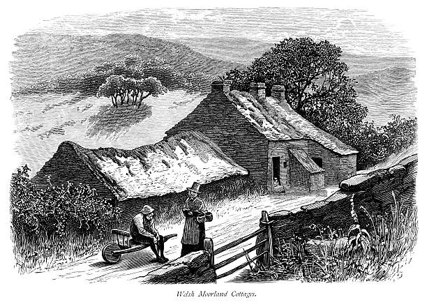 Welsh moorland cottages with people A group of remote Welsh moorland cottages with an old man sitting on a barrow and a woman wearing a traditional Welsh hat. Illustration from "Picturesque Europe - The British Isles" published by Cassell Petter & Galpin in 1875 (price 2/6d). welsh culture stock illustrations