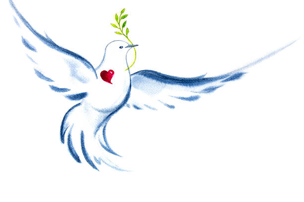 White Dove Spirit Of Love and Peace This image is part of my "Peace On Earth" collection. Doves mate for life. They symbolize love, peace, spirituality and prosperity.  In this traditional watercolor illustration, colorful, hand painted strokes and watercolor effects show off the granular imperfections of natural pigments. Primarily painted wet paint - into - wet paper, this image shows off textured cotton fibers and the magical charm of soft color transitions, like only translucent watercolor can. allegory painting stock illustrations