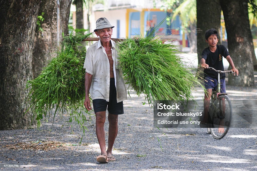 Farmer carrying rice back home An Giang, Vietnam - August 20, 2011: Farmer carrying rice back home by bamboo frame in Mekong Delta, An Giang, Vietnam. An Giang is a biggest rice stock in Vietnam. 2015 Stock Photo