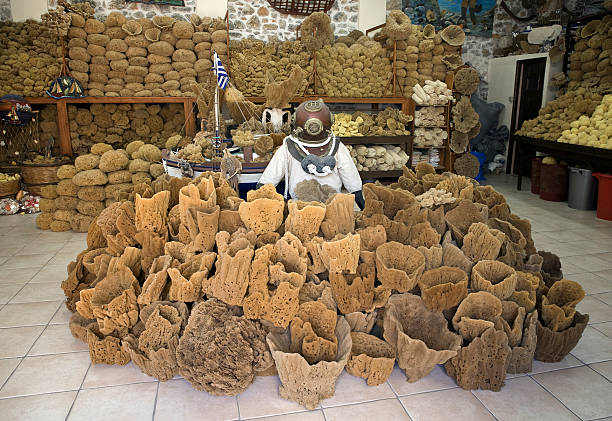 Sponge Paradise Pothia, Kalymnos island, Greece - July 7, 2010: The sponge shop and craft workshop named "Sponge Factory by NS Papachatzis" is the biggest sponge souvenir shop on Kalymnos. Besides display of sponges tourists can observe several phases of sponge processing. sponge bath sponge nature animal stock pictures, royalty-free photos & images