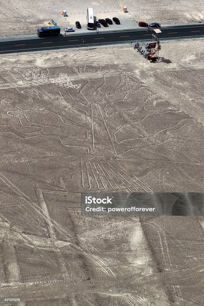 ナスカの地上絵の木 - 5世紀頃のロイヤリティフリーストックフォト
