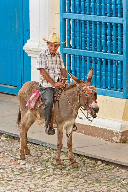 Niguelas, Spain - August 3, 2004: Senior man wearing sunhat with his basket-laden donkey on Andalucian track also with his horse and dog