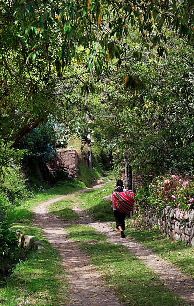 il solitario - quechuas lamistas foto e immagini stock