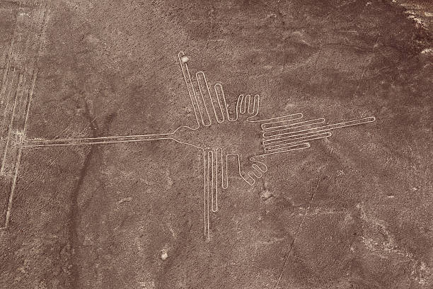 linhas de nazca-beija-flor - prehistoric antiquity - fotografias e filmes do acervo