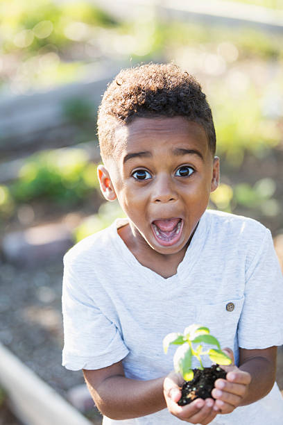 heureux petit garçon tenant jeune pousse - nature summer child one little boy photos et images de collection