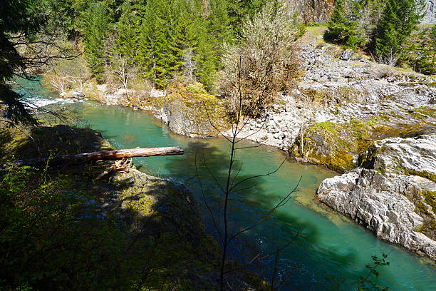 istock Oregon Steelhead Creek 471313536