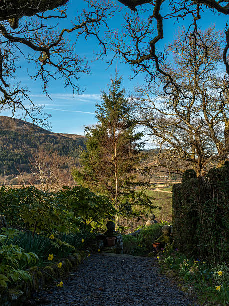 istock Welsh Landscape - Penmaenuchaf Pathway 471314382