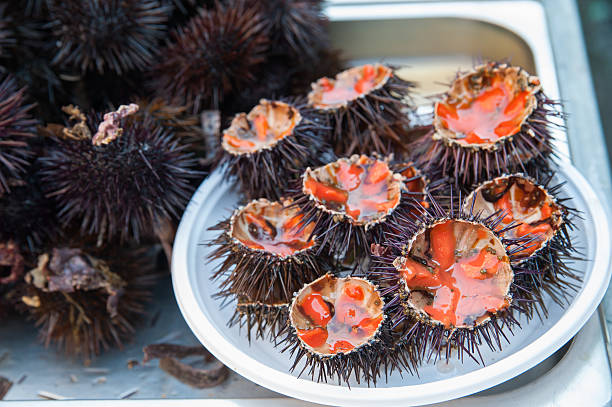 Sea urchins Cut sea urchins laid on a dish for sale in the public fish market of Catania, Sicily sea urchin stock pictures, royalty-free photos & images