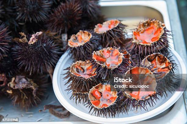 Sea Urchins Stock Photo - Download Image Now - Sea Urchin, Market - Retail Space, Catania