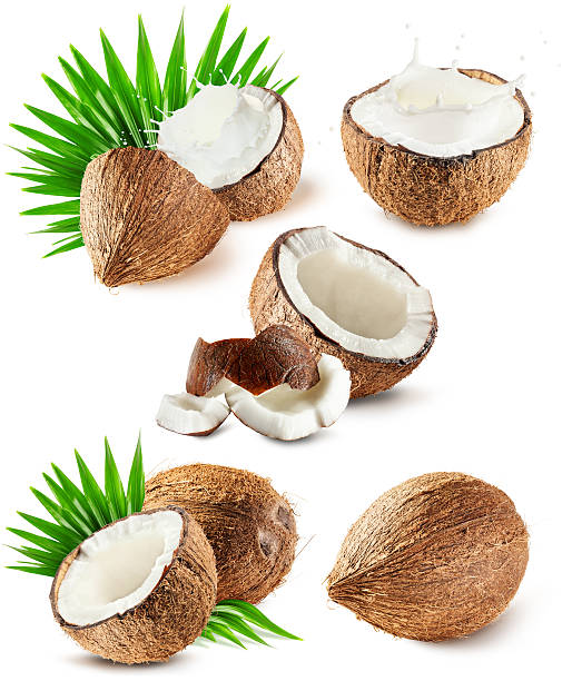 istock set of coconuts isolated on the white background 471315392