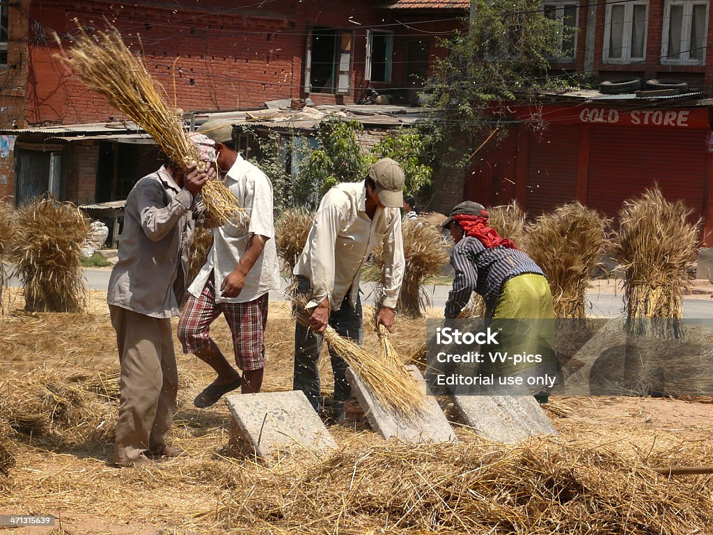 Trebbiare fiore a mano - Foto stock royalty-free di Affari finanza e industria